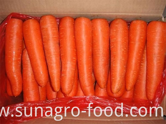 High Quality Dig Carrots